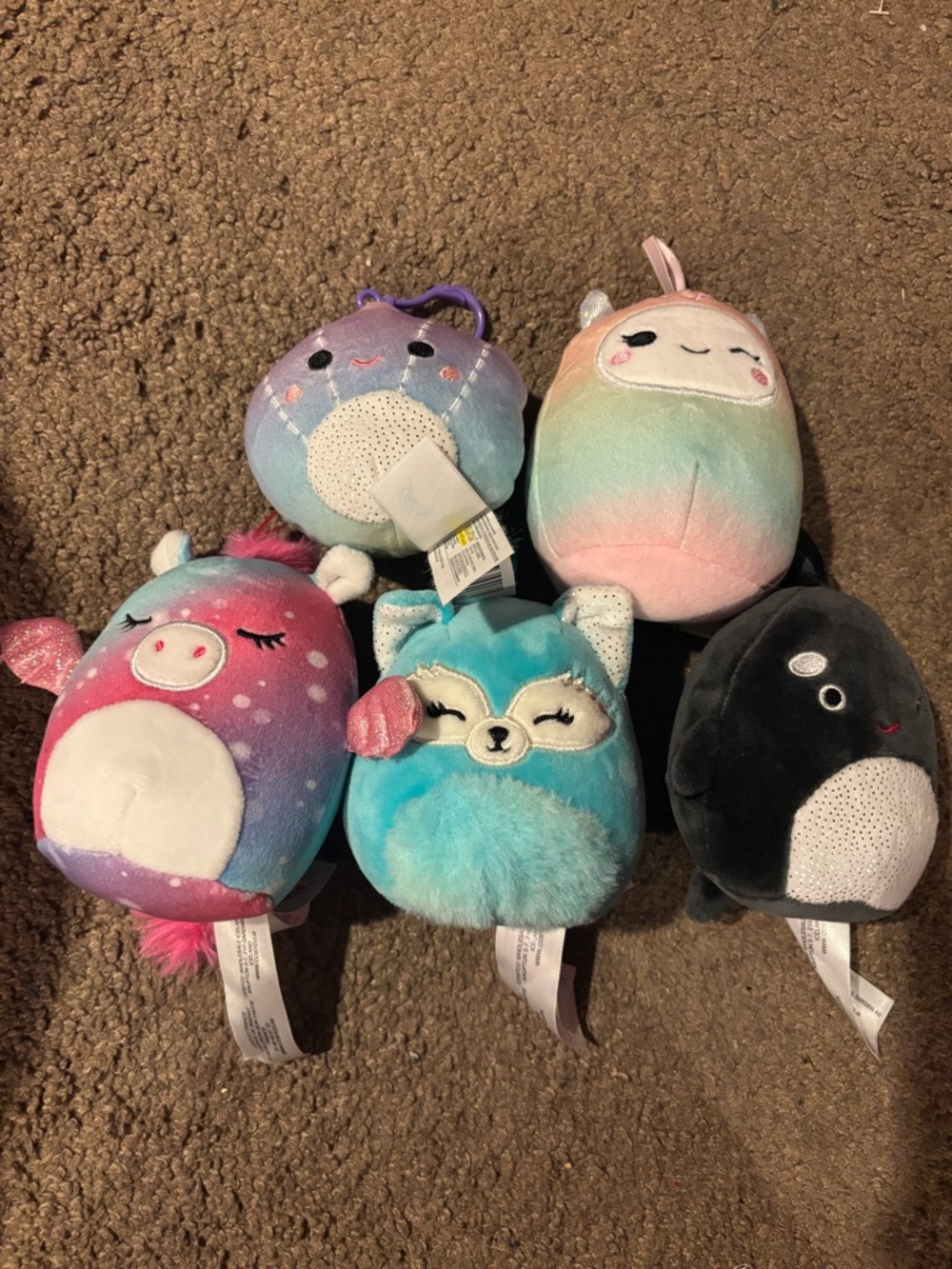 Lot of 5 mini squishmallows